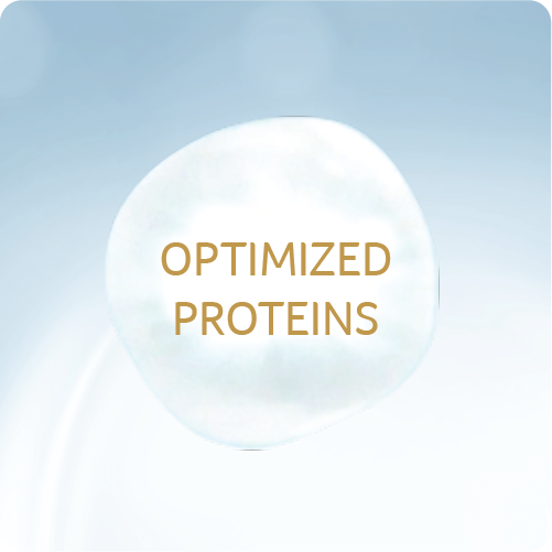 Nan Optipro Protein