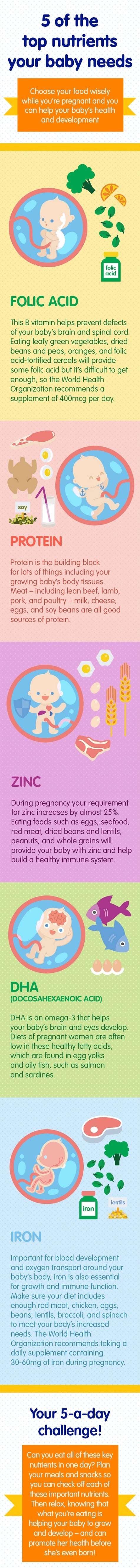 Diet during pregnancy