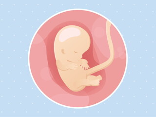 pregnancy-belly-fetal-development-week-10 pregnancy-belly-fetal-development-week-10