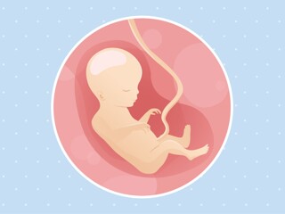 pregnancy-belly-fetal-development-week-18