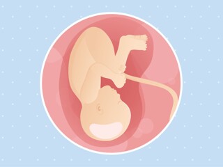 pregnancy-belly-fetal-development-week-38