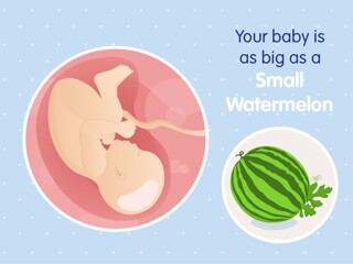 pregnancy-belly-fetal-development-week-39