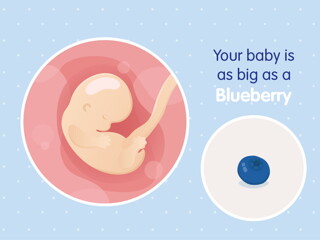 pregnancy-belly-fetal-development-week-7 pregnancy-belly-fetal-development-week-7