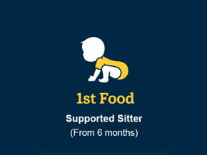 Gerber First Food