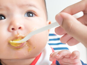 Baby’s first foods: essential kit Baby’s first foods: essential kit