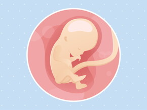 pregnancy-belly-fetal-development-week-12 pregnancy-belly-fetal-development-week-12