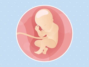 pregnancy-belly-fetal-development-week-31