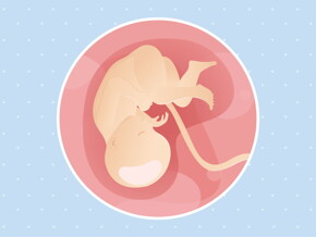 pregnancy-belly-fetal-development-week-35 pregnancy-belly-fetal-development-week-35