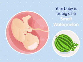 pregnancy-belly-fetal-development-week-39 pregnancy-belly-fetal-development-week-39