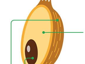 fiber-whole-grains-foods fiber-whole-grains-foods