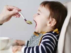 introducing-solid-foods
