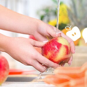 Safe Food Preparation Principles Safe Food Preparation Principles