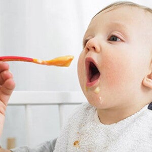 Introducing Solids Introducing Solids
