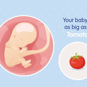 pregnancy-belly-fetal-development-week-11 pregnancy-belly-fetal-development-week-11