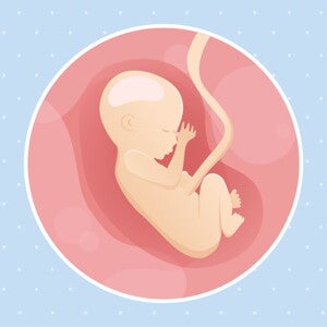 pregnancy-belly-fetal-development-week-17 pregnancy-belly-fetal-development-week-17
