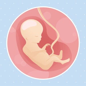pregnancy-belly-fetal-development-week-18 pregnancy-belly-fetal-development-week-18