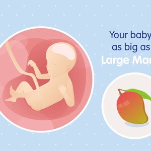 pregnancy-belly-fetal-development-week-23 pregnancy-belly-fetal-development-week-23