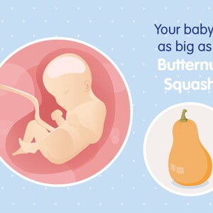 pregnancy-belly-fetal-development-week-29 pregnancy-belly-fetal-development-week-29