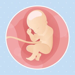 pregnancy-belly-fetal-development-week-31 pregnancy-belly-fetal-development-week-31