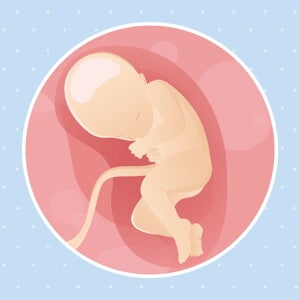 pregnancy-belly-fetal-development-week-32 pregnancy-belly-fetal-development-week-32