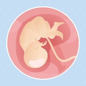 pregnancy-belly-fetal-development-week-35 pregnancy-belly-fetal-development-week-35