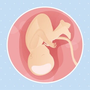 pregnancy-belly-fetal-development-week-37 pregnancy-belly-fetal-development-week-37