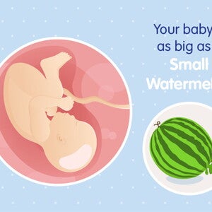 pregnancy-belly-fetal-development-week-39 pregnancy-belly-fetal-development-week-39