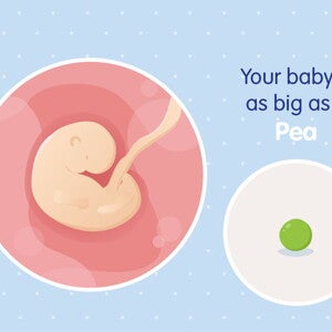 pregnancy-belly-fetal-development-week-5 pregnancy-belly-fetal-development-week-5