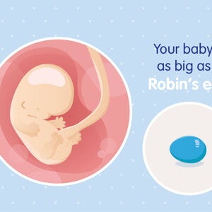 pregnancy-belly-fetal-development-week-8 pregnancy-belly-fetal-development-week-8