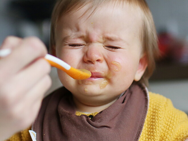 How to Help a Picky Eater How to Help a Picky Eater