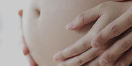 Due Date Calculator